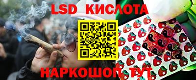 jwh Ставрополь
