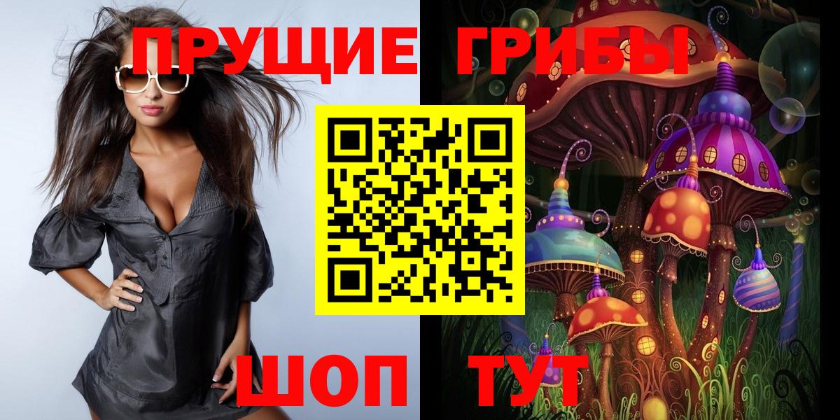 Галлюциногенные грибы Cubensis  Вход с VPN  Псилоцибиновые грибы мицелий  Новороссийск 
