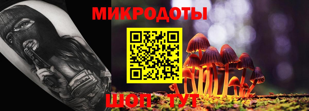 Псилоцибиновые грибы Psilocybine cubensis Новороссийск